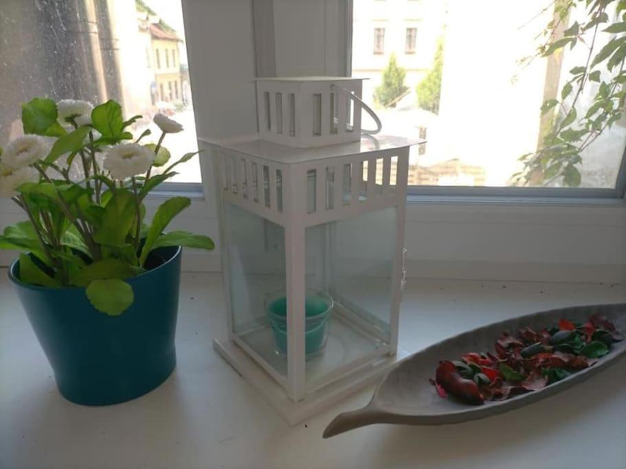Bright Josefa Apartments For Two 크라쿠프 외부 사진